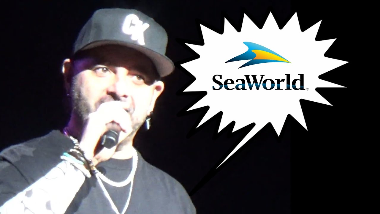 Chris Kirkpatrick during Pop 2000 Tour at SeaWorld Orlando 2/22/2026