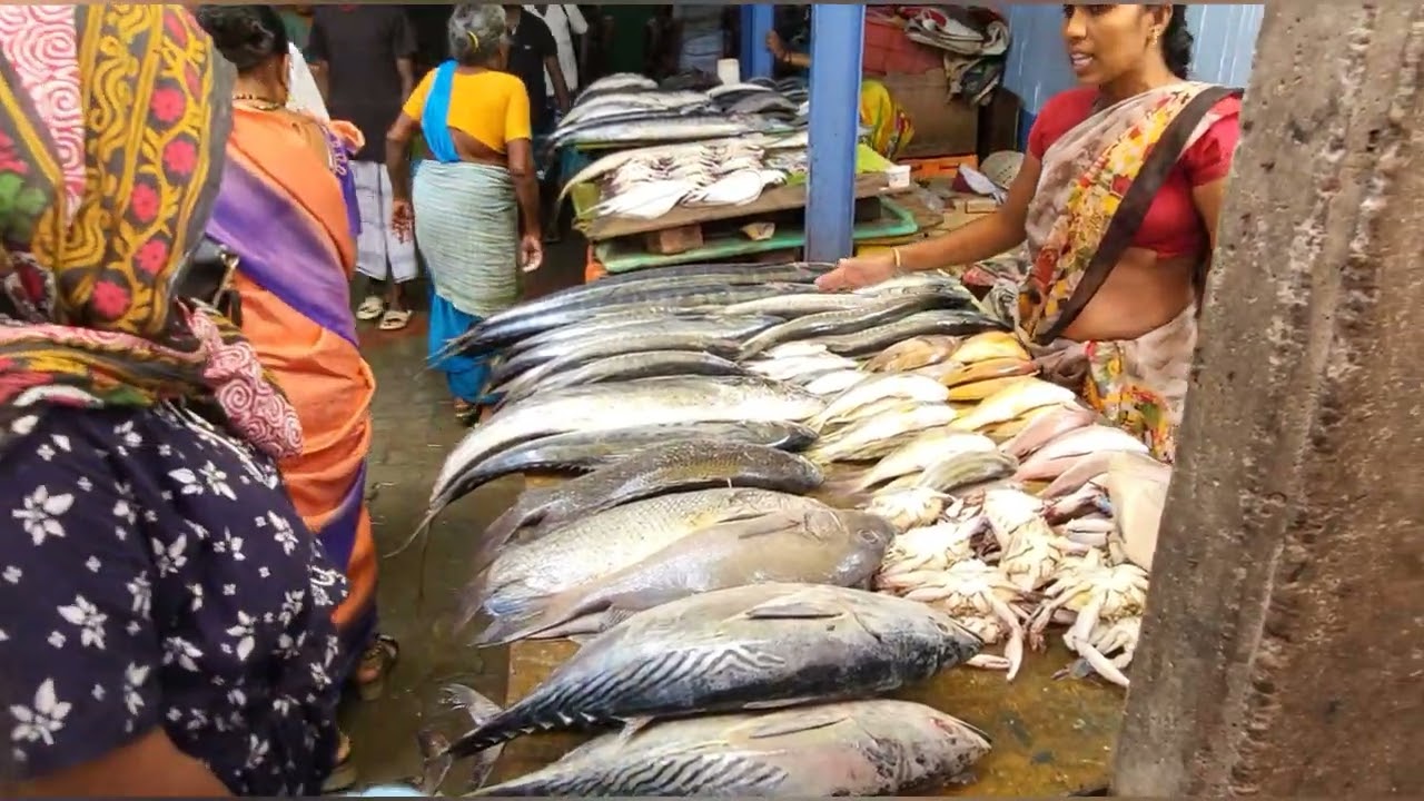 Velankanni fish market,  Nagapattinam, Tamilnadu வேளாங்கண்ணி மீன், கோழி கறி சந்தை
