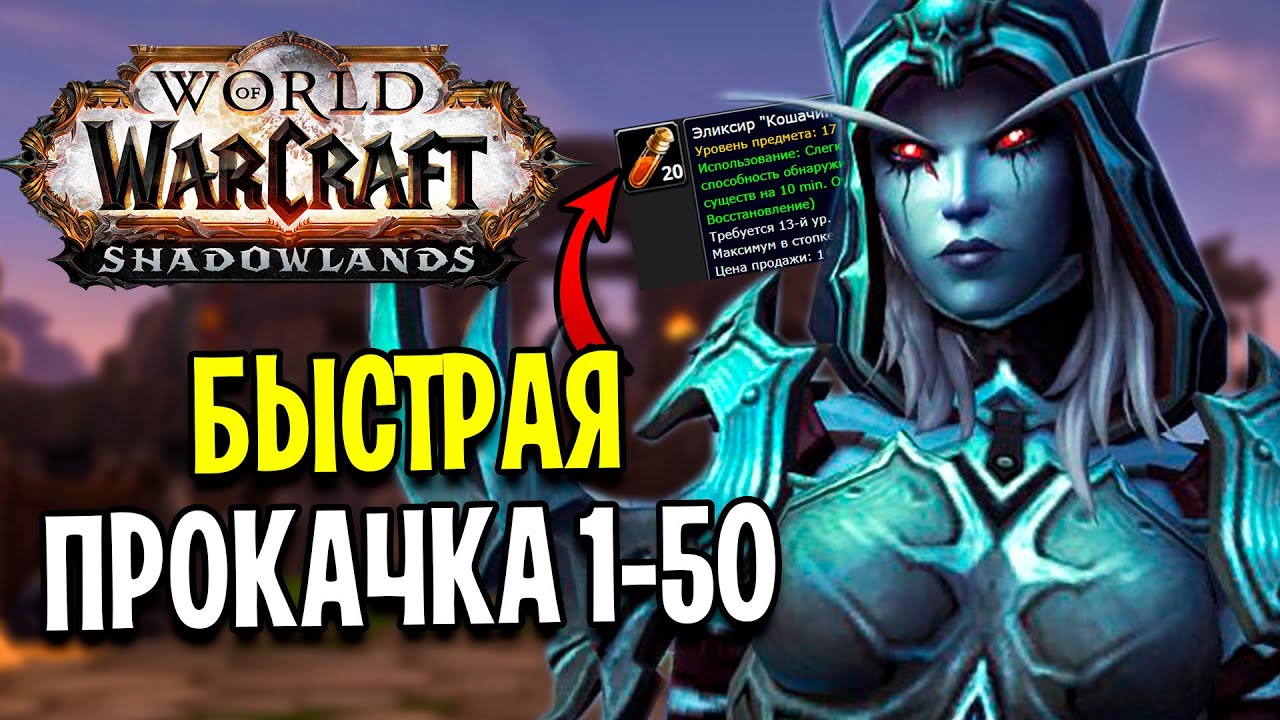БЫСТРАЯ ПРОКАЧКА 1-50 уровни в ПРЕПАТЧЕ SHADOWLANDS