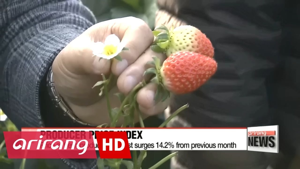 Producer prices up on surge on expensive agricultural produce