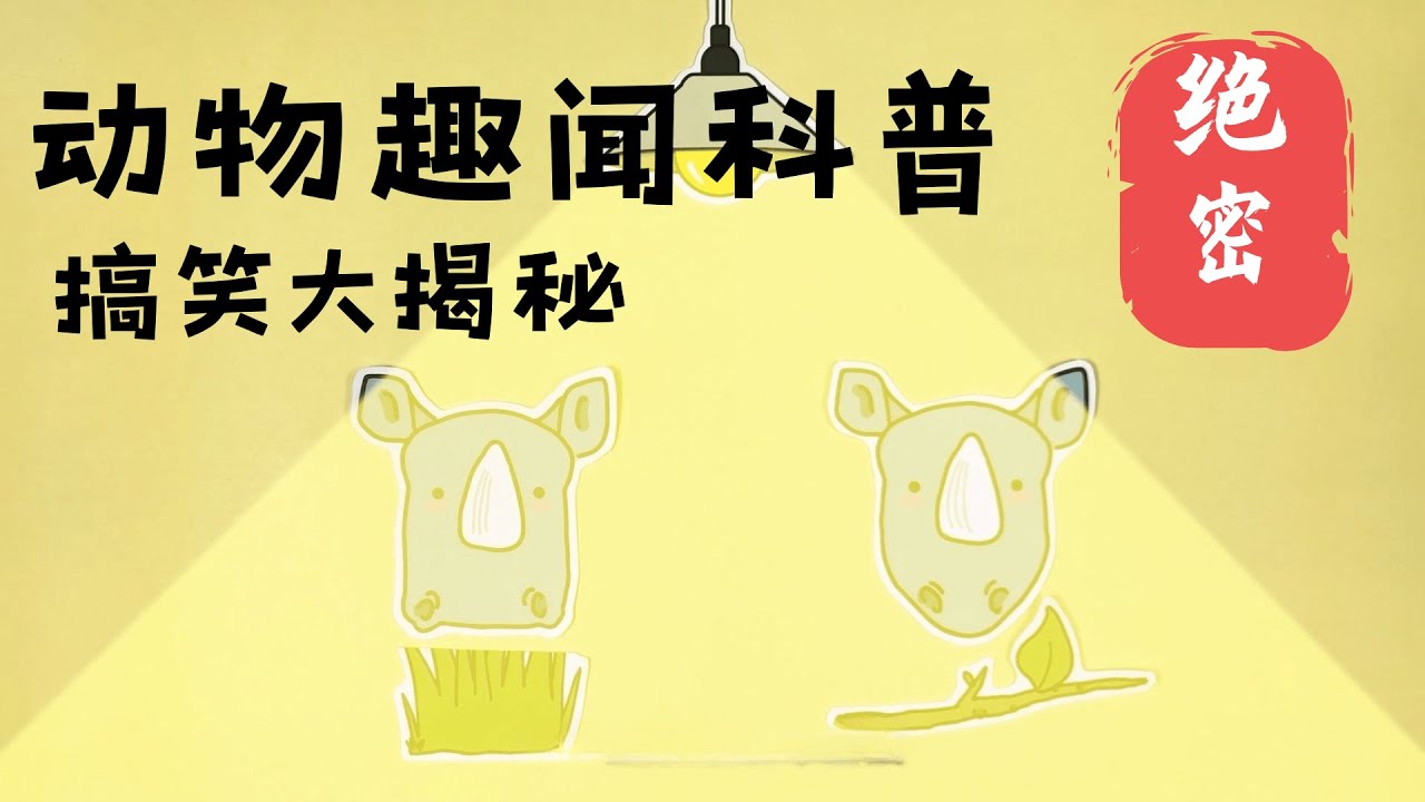 小犀牛出生就会跑步？吨级宝宝的