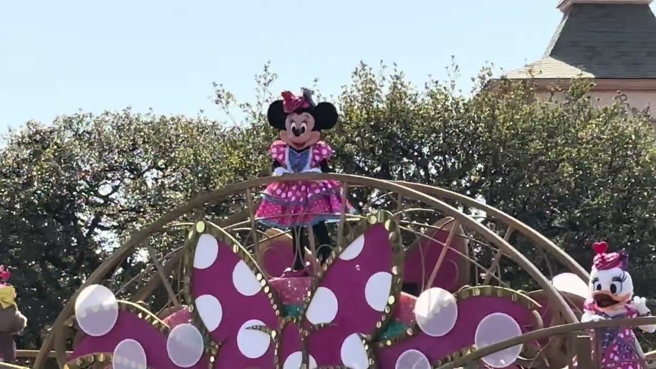 大人気‼️《ミニー@ファンダーランドのラス日前日は大混雑‼️》ディズニーランド:3月1日1stから
