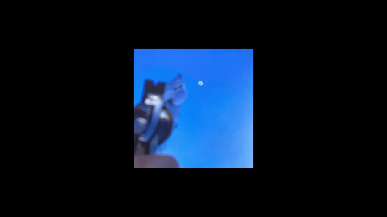 au pays du cocaine - geese (sped up)