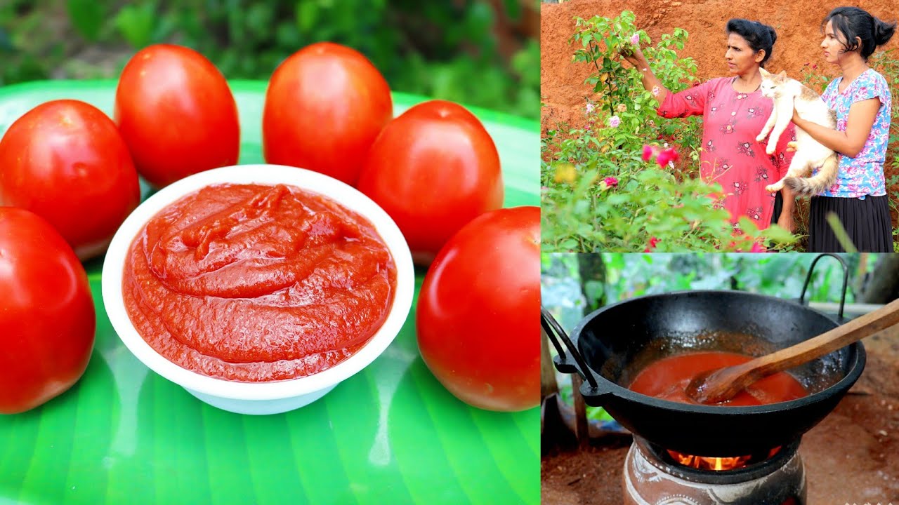 ಸುಲಭವಾದ ಟೊಮೆಟೊ sauce ಮನೆಯಲ್ಲಿ ಮಾಡಬಹುದು | ಚಿಕ್ಕ ಹೂವಿನ ತೋಟ | Easy home made tomato sauce|Flower garden