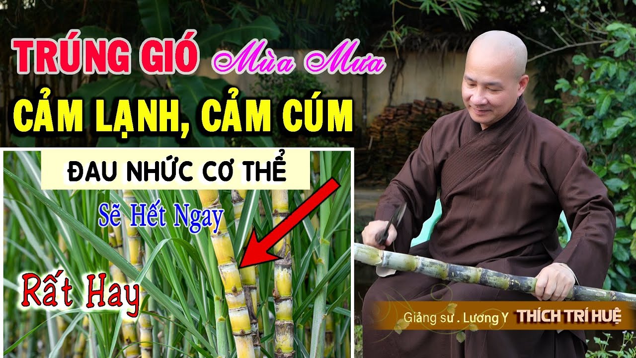 CẢM LẠNH-CẢM CÚM-TRÚNG PHONG HÀN ĐAU NHỨC CƠ THỂ Mùa Mưa Sẽ Hết Ngay với cách làm này- Thích Trí Huệ