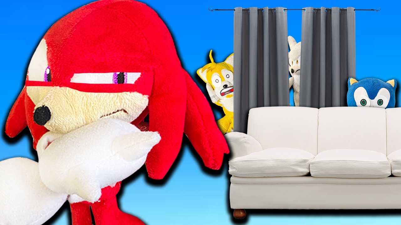 Sonic Zoom - Hide And Seek!