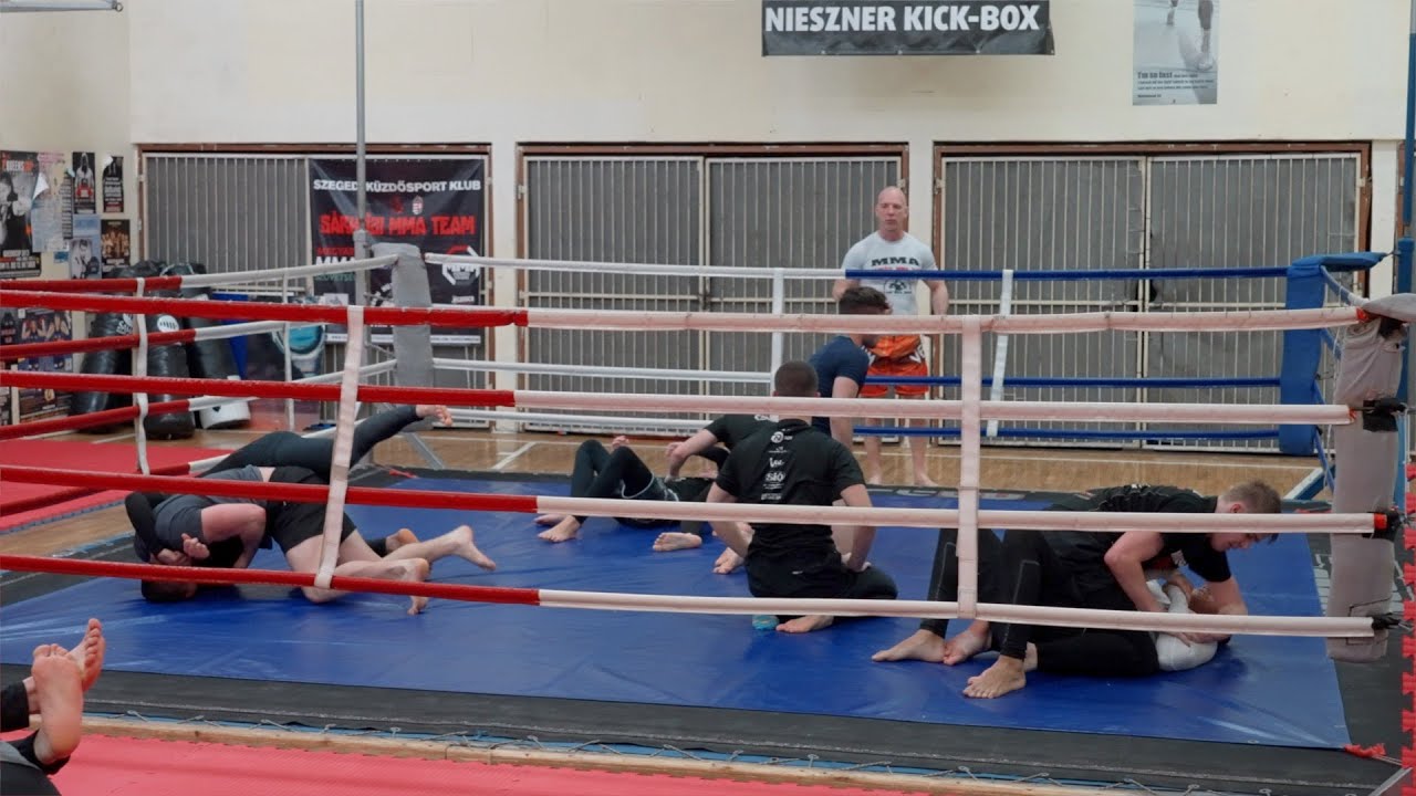 Sárközi Róbert (MMA): “akitől meghallom, hogy az utcán csinálja a fesztivált, repül a klubból”