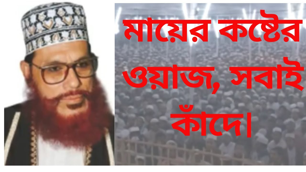 মায়ের কষ্টের ওয়াজ,সবাই কাঁদে(Delwar hossain saydee waz) Mayer waz-saidi