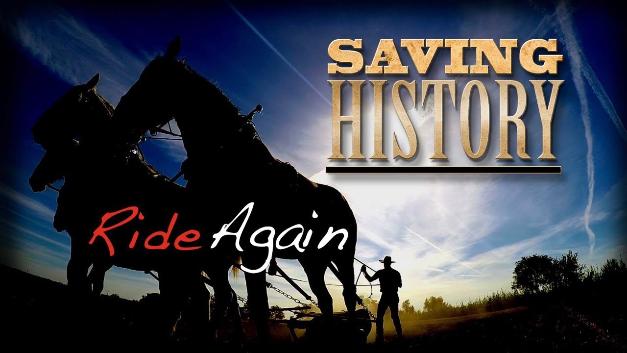 Saving History: The Draft Horses Ride Again