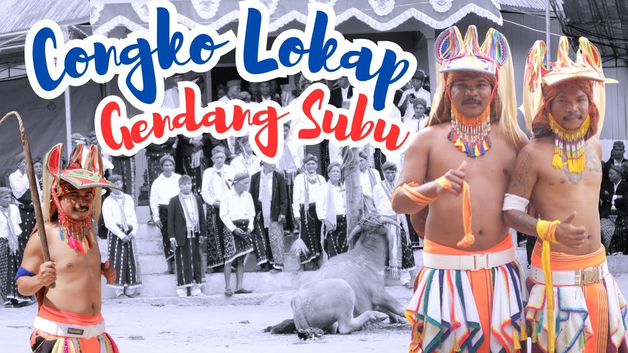 Acara Adat Congko Lokap Gendang Subu Kecamatan Lelak/Caci  Manggarai #caci