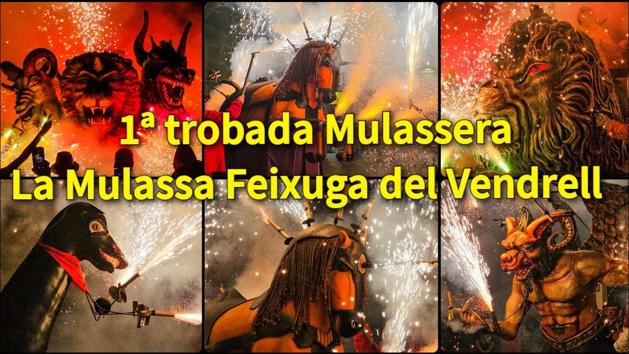 1ª trobada Mulassera, La Mulassa Feixuga del Vendrell