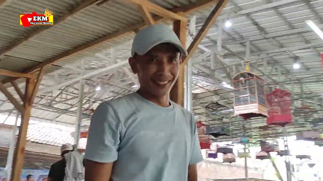 Simulasi lomba burung cendet dan burung murai batu 