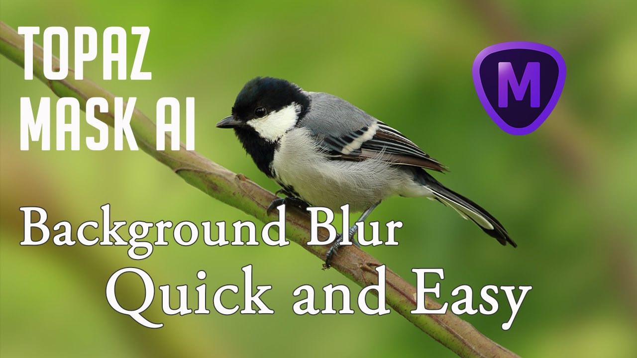TOPAZ MASK AI: Background Blur (Quick and Easy)