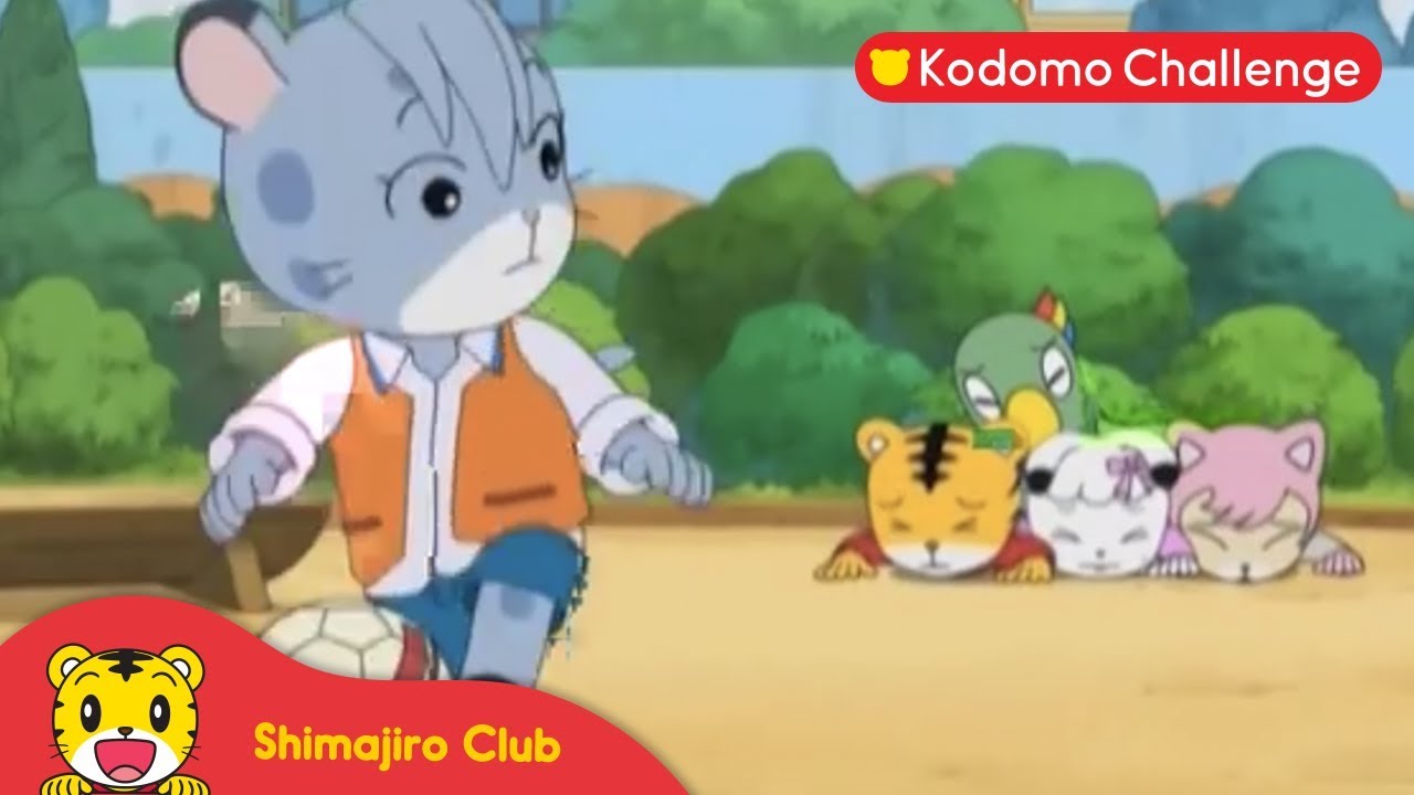 Shimajiro | Pendidikan Anak | Saingan Shimajiro Ep.41.1 - Kodomo Challenge