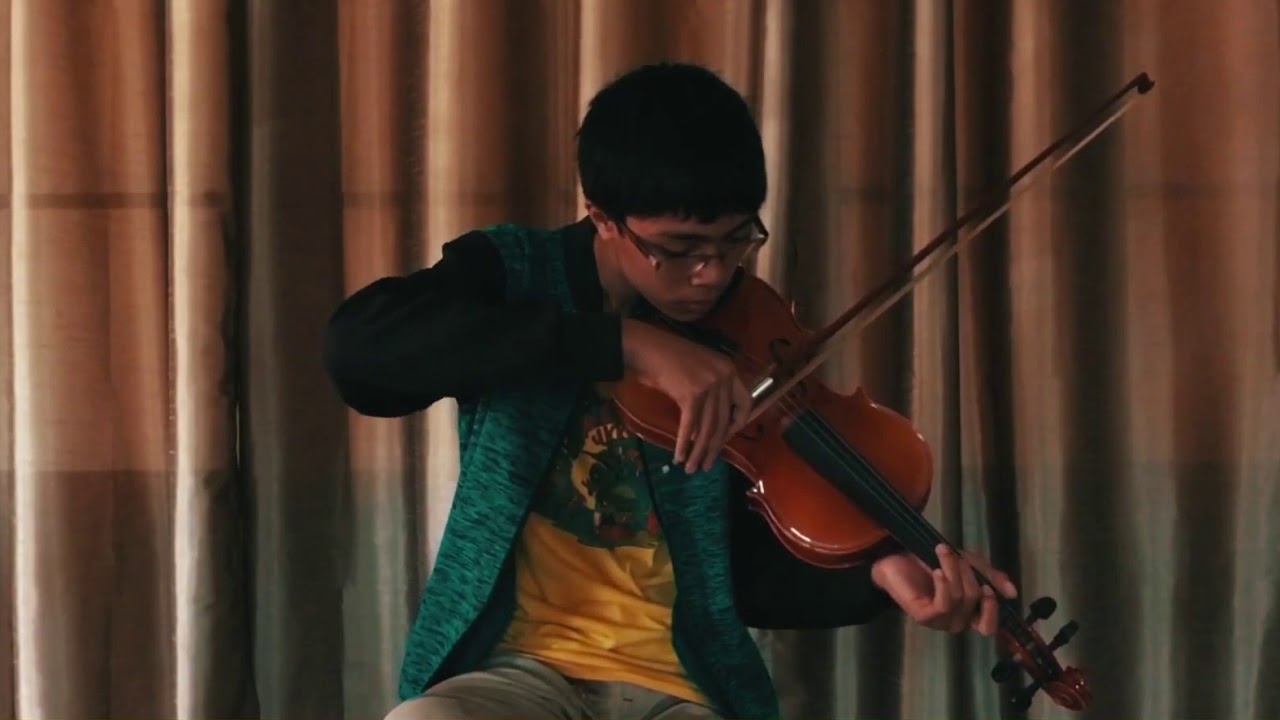 Flicker - Niall Horan (Roxas Avenue violin cover)