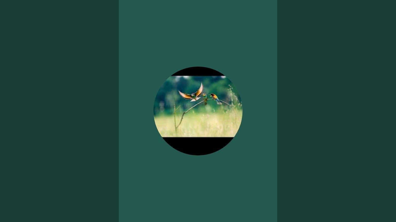 Nature & Life is live!