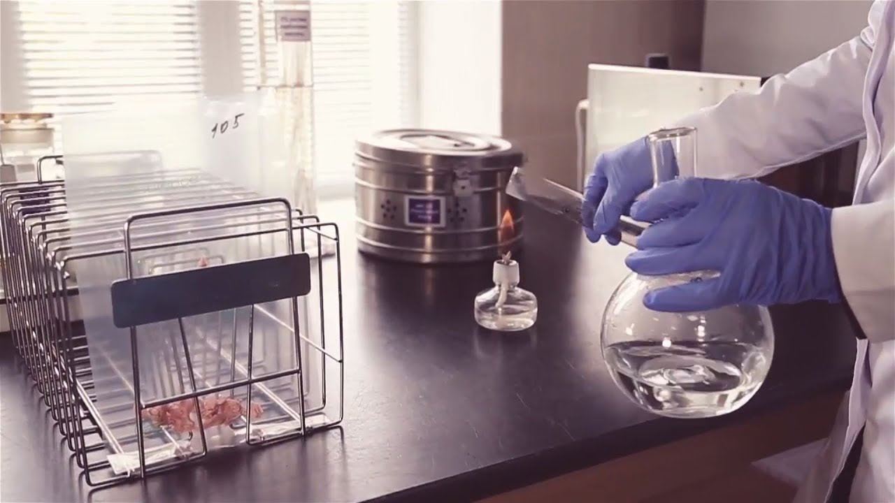 Introduction to UCLA Cannabis Research Initiative