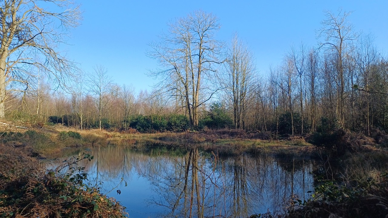The walk to Black Pool