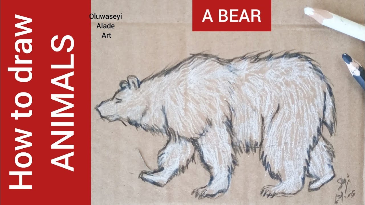 How to draw Animals- a bear! 🐻