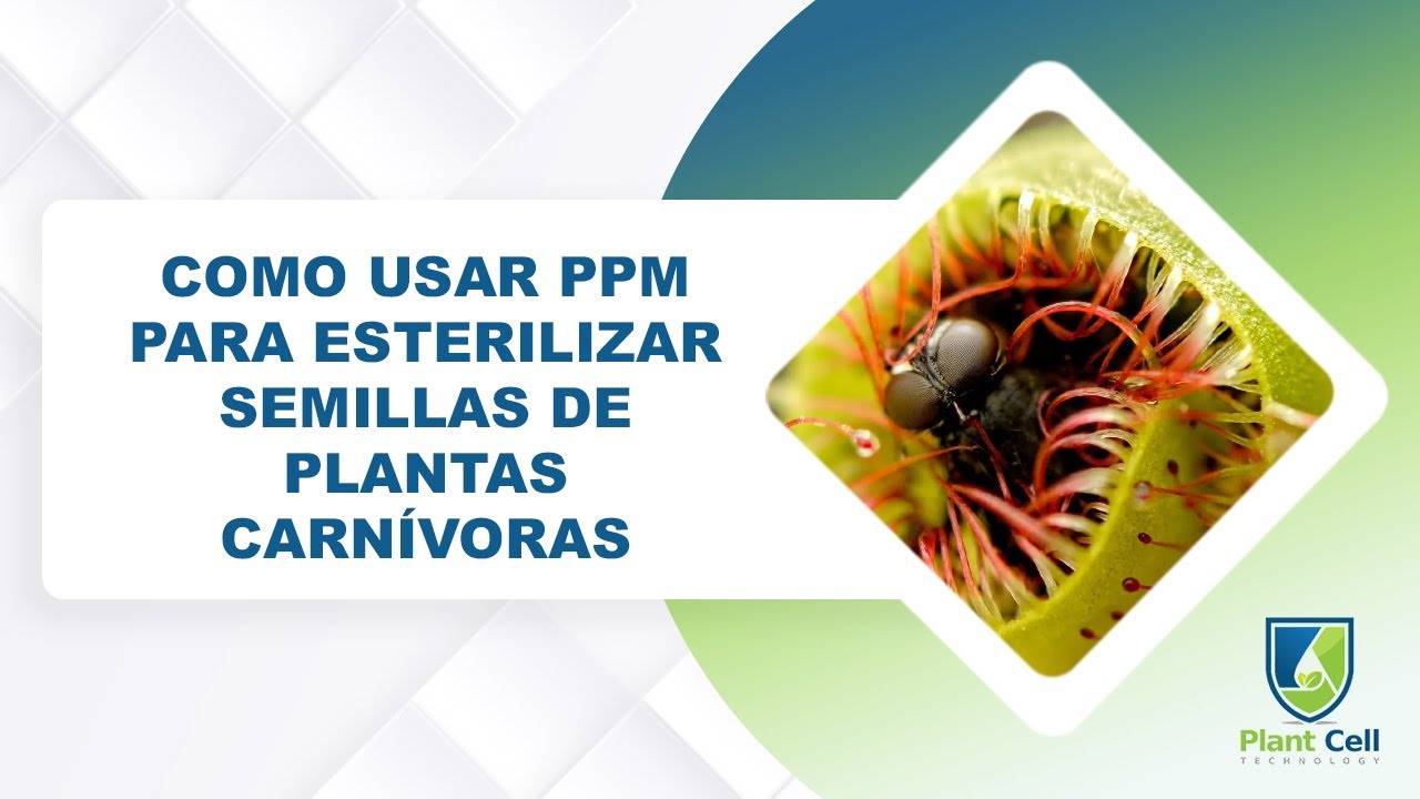 Como usar PPM para esterilizar semillas de plantas carnívoras