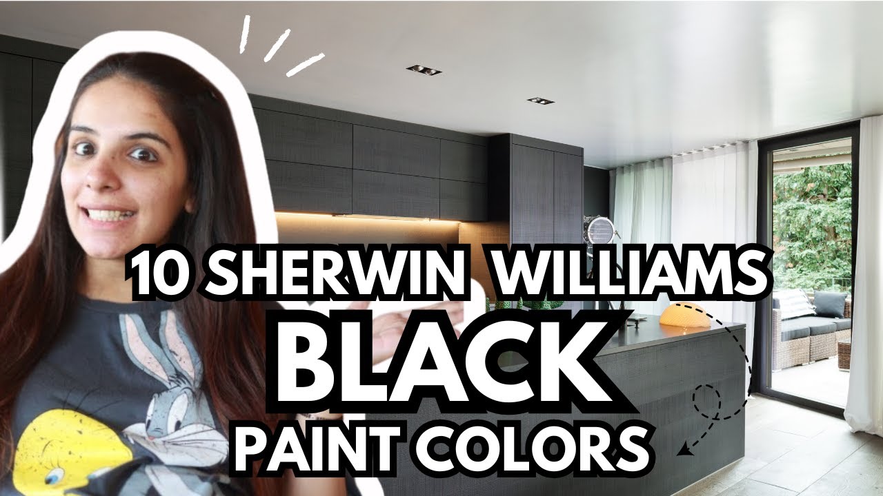 10 BEST Sherwin Williams BLACK Paint Colors