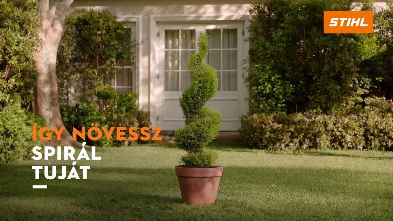 Tuja spir&aacute;l k&eacute;sz&iacute;t&eacute;se