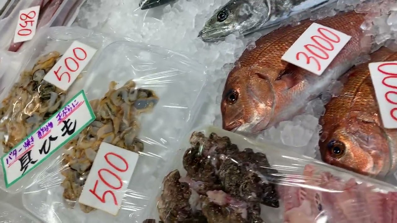 道の駅笠岡ベイファーム鮮魚コーナー2／9
