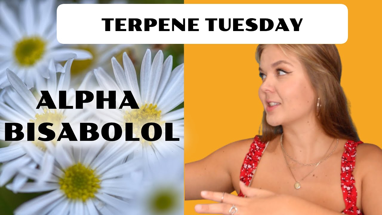 Alpha Bisabolol Terpene Effects | Terpene Tuesday (Epi.11)