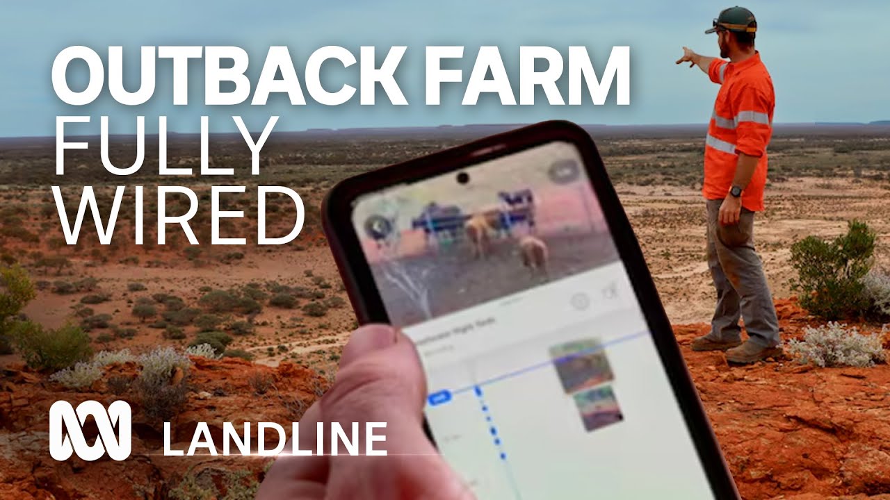 Remote Prenti Downs cattle station in WA creates Australia's biggest smart home 🌐🐮🖥️ | ABC Australia