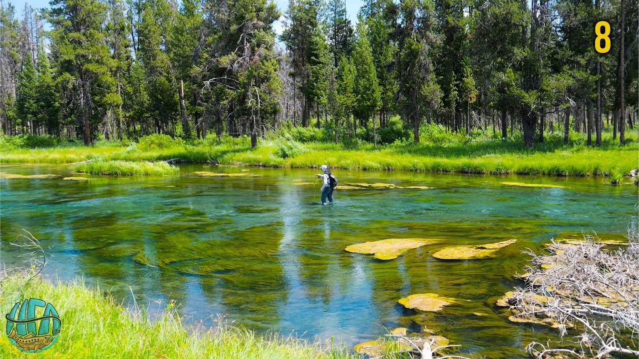 Nobody Lives Here... So is the Fishing Better? (2 Days Fly Fishing Wyoming)