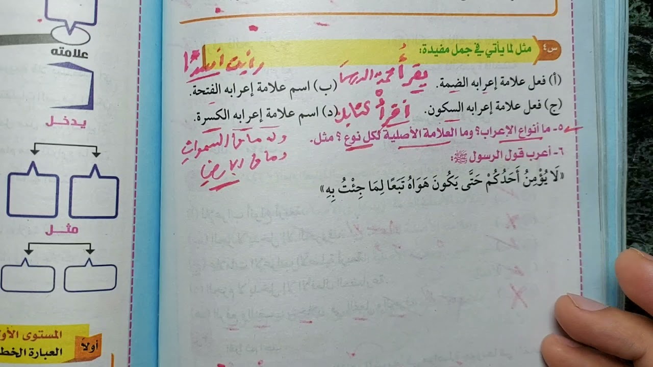٢٥ / تدريبات ( علامات الإعراب الأصلية ) من كتاب المعهد ٢٠٢٢ ، للصف الأول الإعدادي الأزهري.
