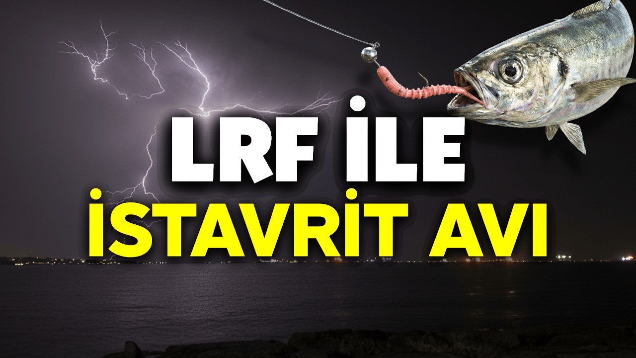 LRF İle İstavrit Avı | LRF Balık Avı