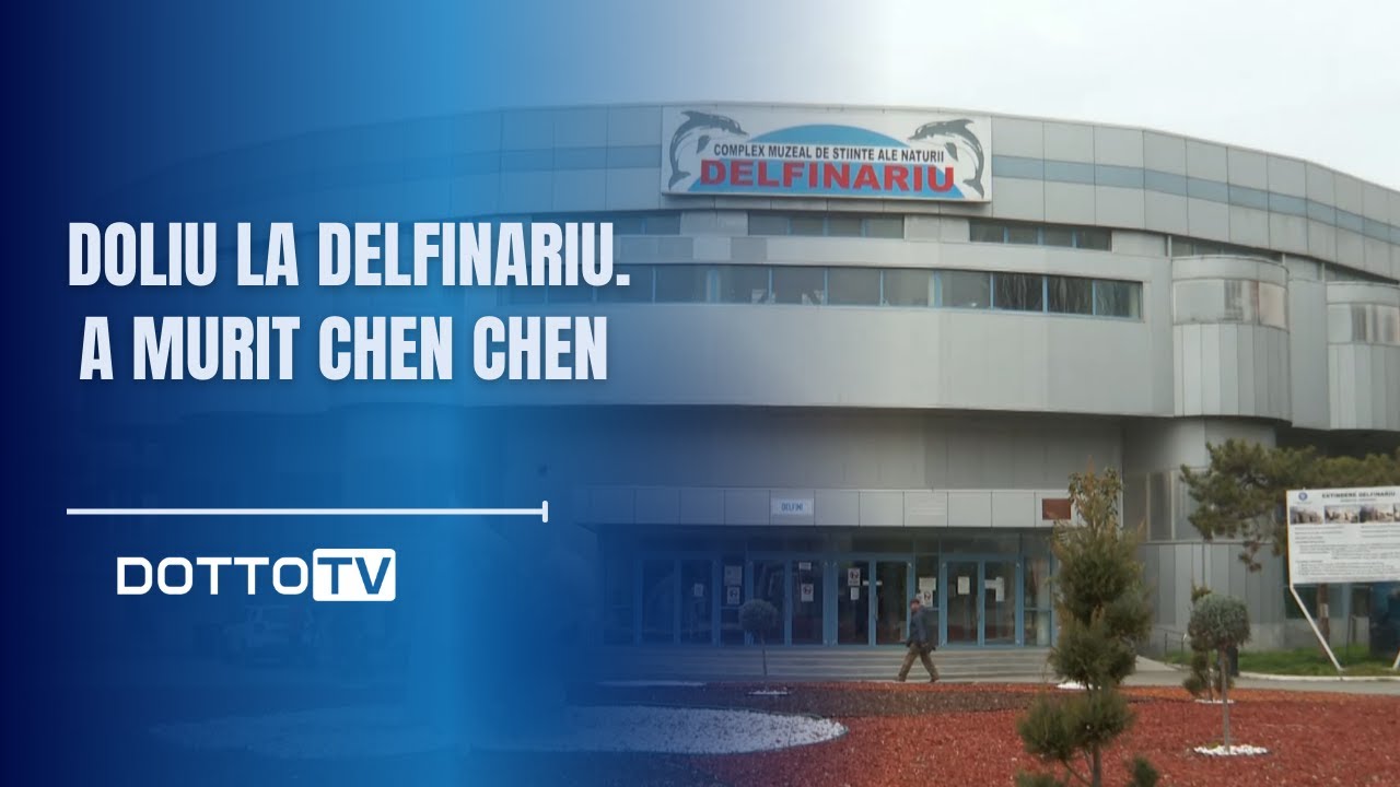 Doliu la Delfinariu: A murit Chen Chen