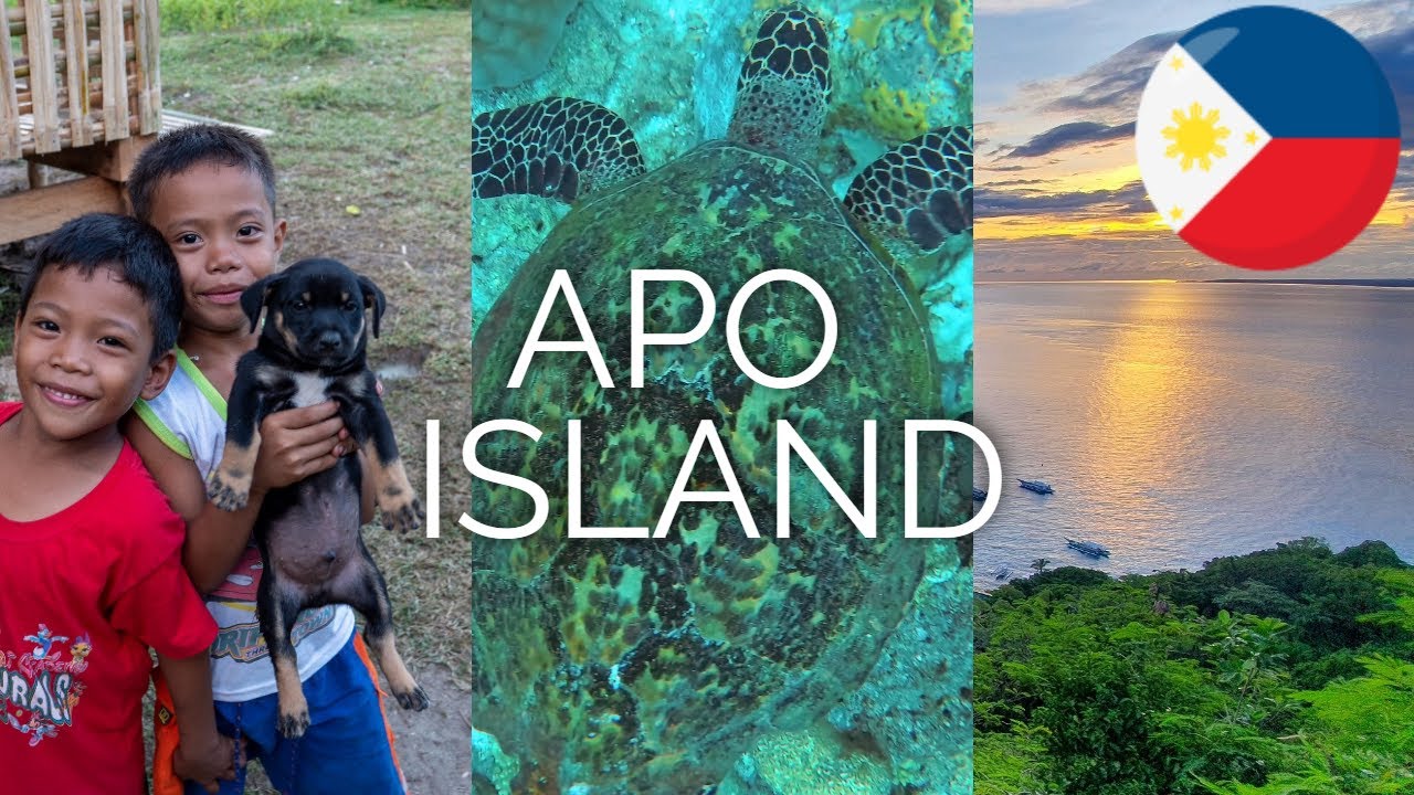 Podr&oacute;żowanie poza sezonem Apo Island - Filipiny 4K