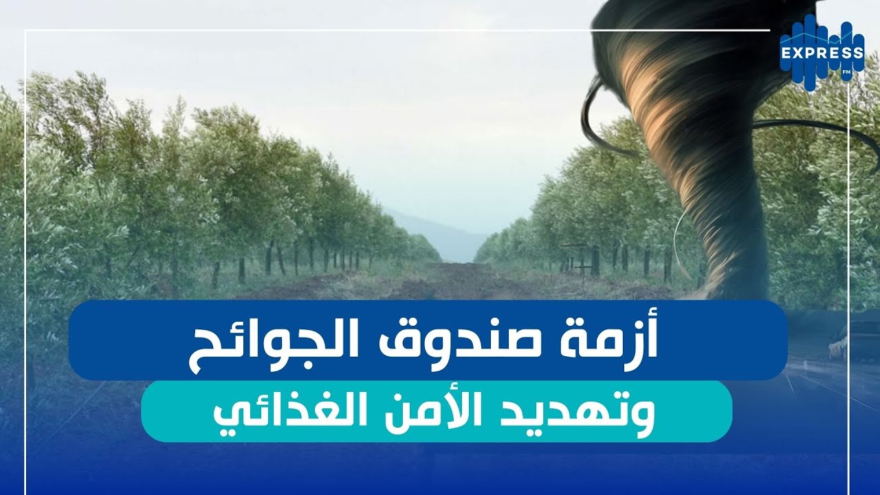 ضرورة تفعيل صندوق الجوائح لتعويض الأضرار التي طالت المجال الفلاحي!!!