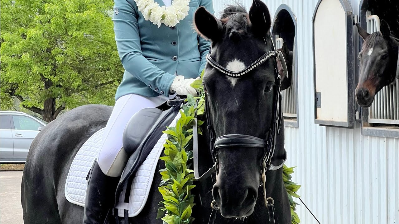 USDF 4th Level Test 1 - 62.3%