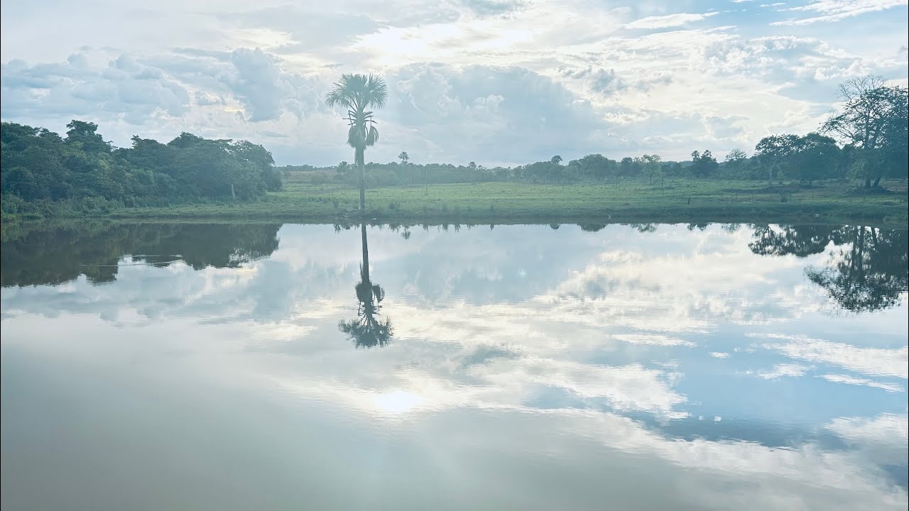 Chácaras apartir de 1000m com córrego, lago para pesca e rio dos bois de fundo 