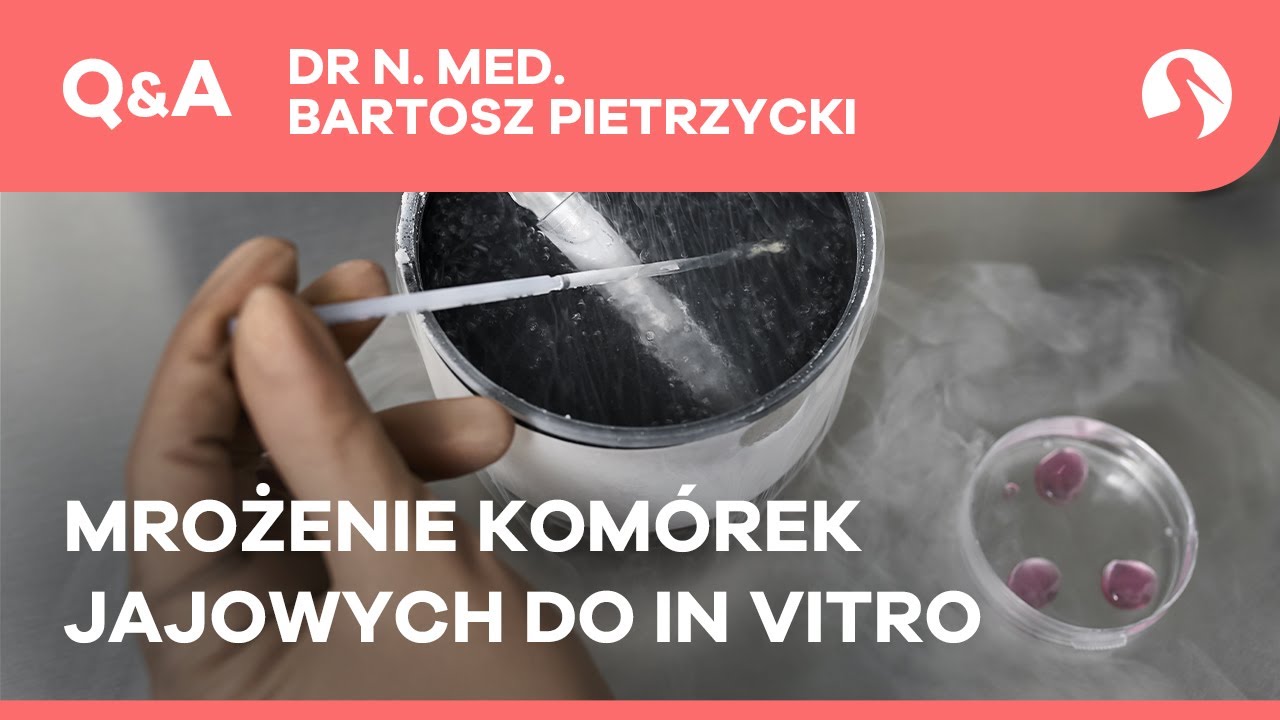 In vitro a mrożenie kom&oacute;rek jajowych
