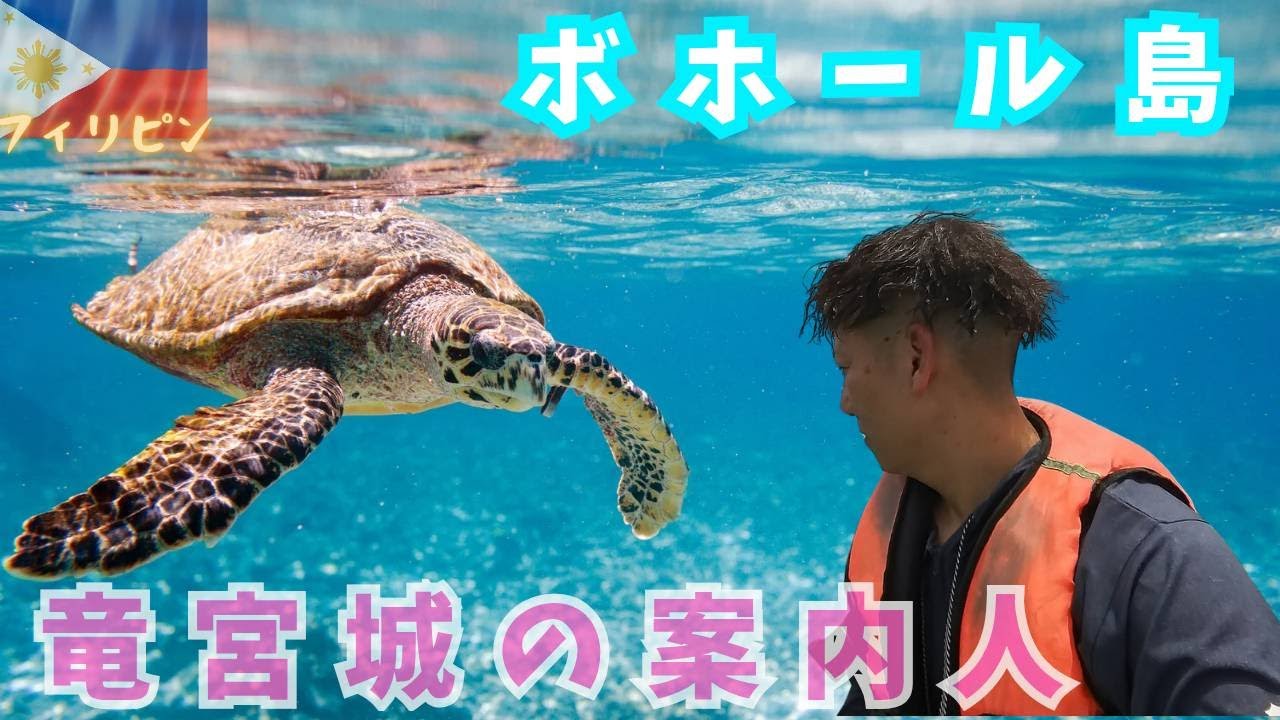 【奇跡の遭遇】ボホール島の離島で野生のウミガメと泳いだら感動しすぎた・・・おすすめのホテルも教えちゃいます