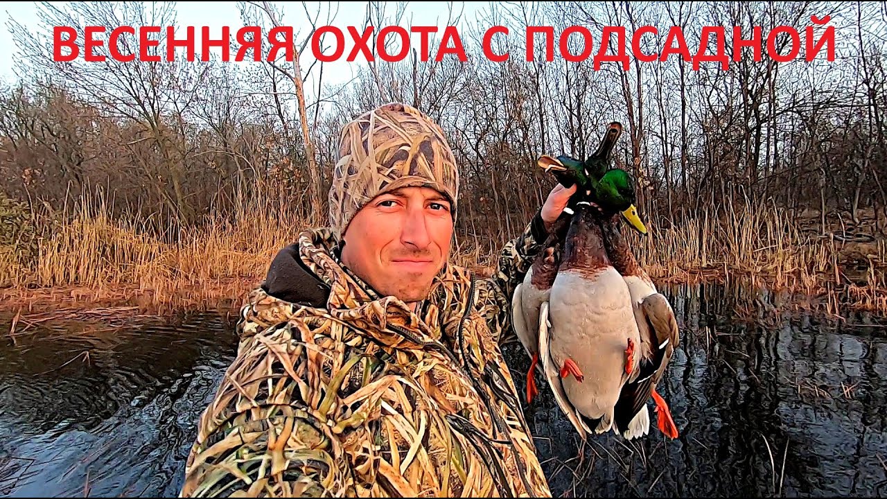 ВЕСЕННЯЯ ОХОТА С ПОДСАДНОЙ УТКОЙ НА СЕЛЕЗНЯ. ДВА СЕЛЕЗНЯ ОДНИМ ВЫСТРЕЛОМ / MAX HUNTER