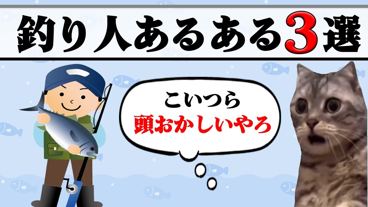 【猫ミーム】釣り人あるある3選がやばすぎた件