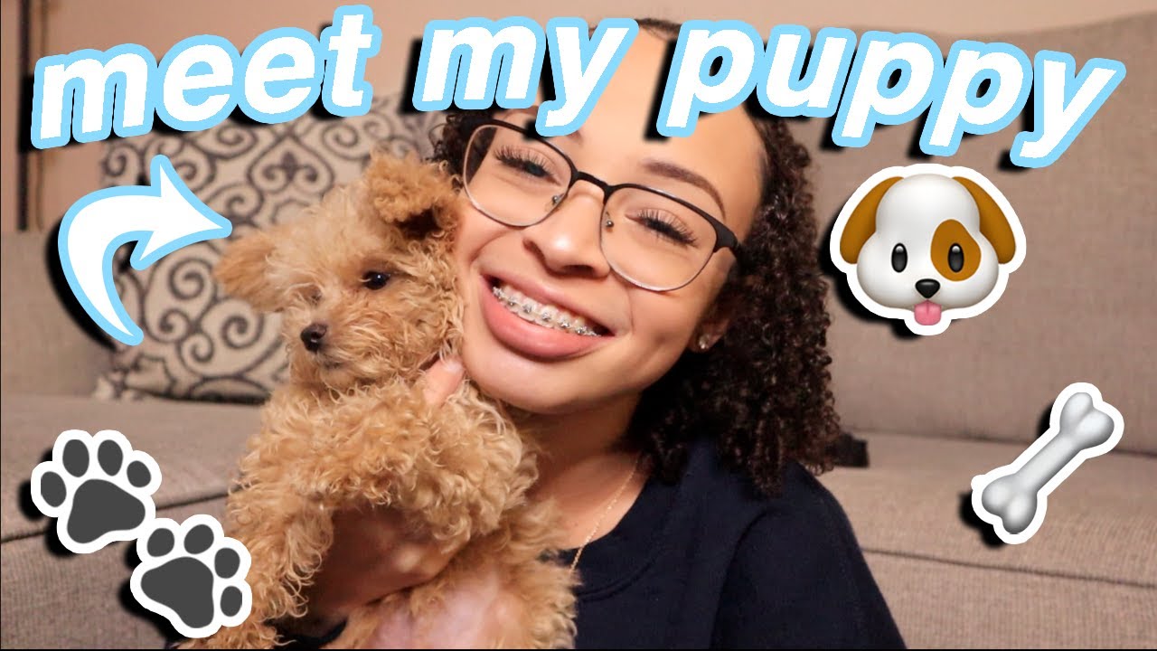 I GOT MY FIRST PUPPY!!!! Meet My New Dog CASHEW!