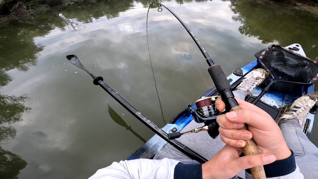 GRDOSIJA NA ŠTAPU (Giant catfish from kayak)