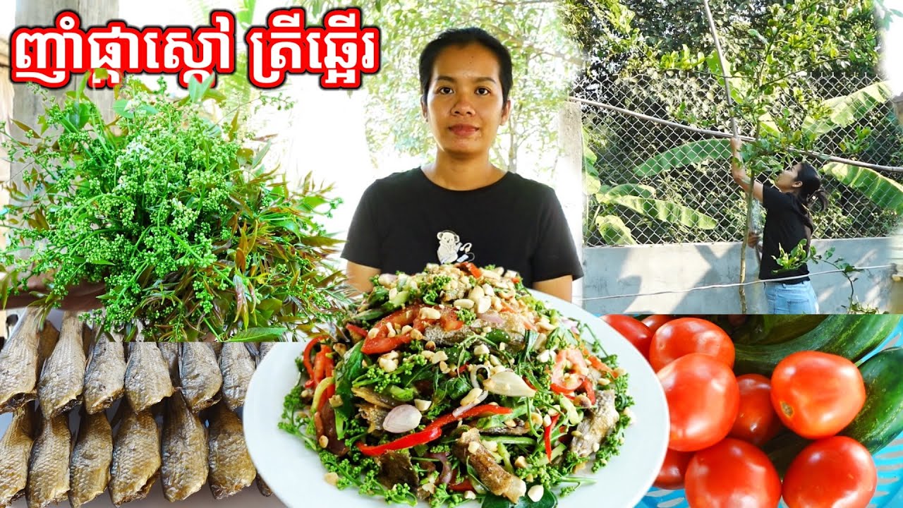 ញាំផ្កាស្តៅ ត្រីឆ្អើរ Salad Sdav with smoked Fish