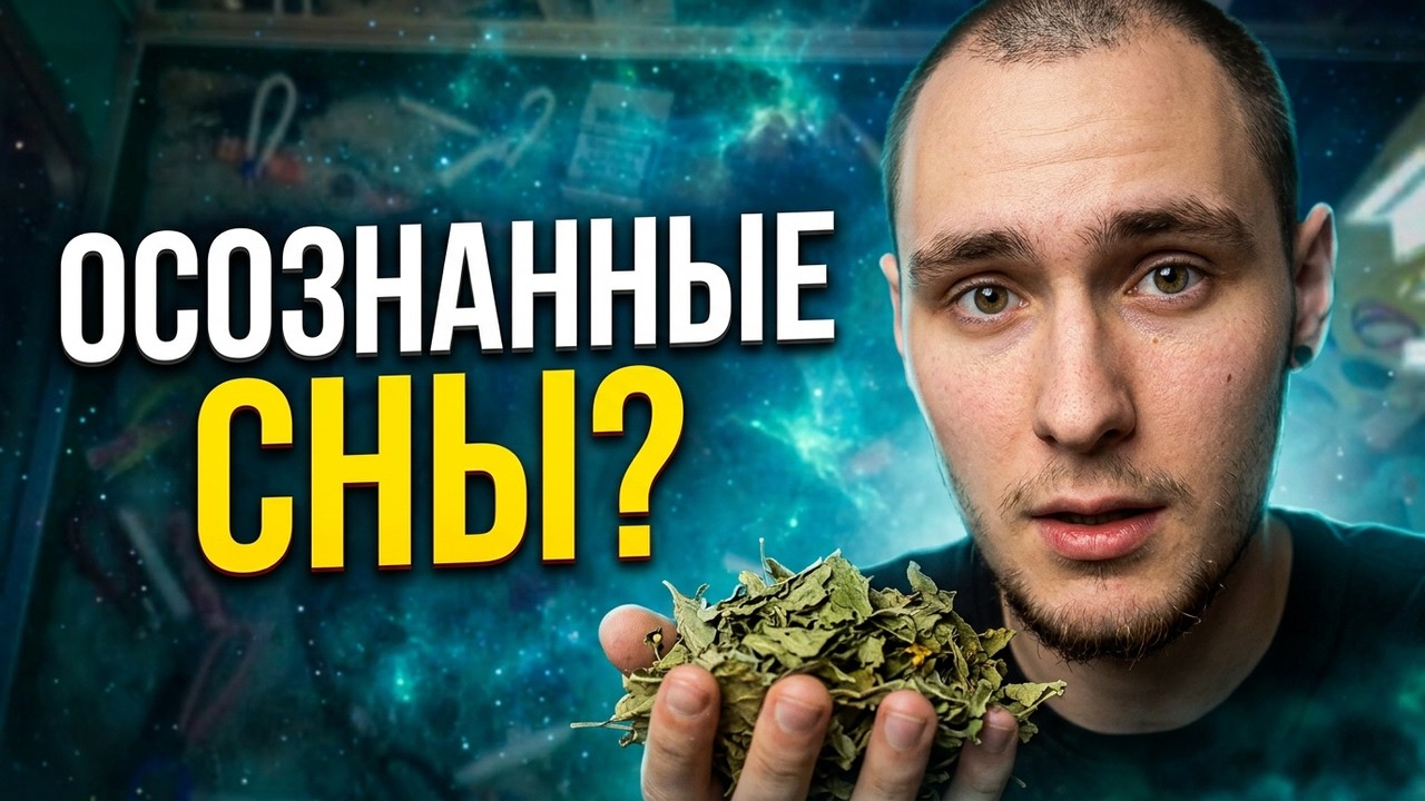 ТРАВА для ОСОЗНАННЫХ СНОВИДЕНИЙ