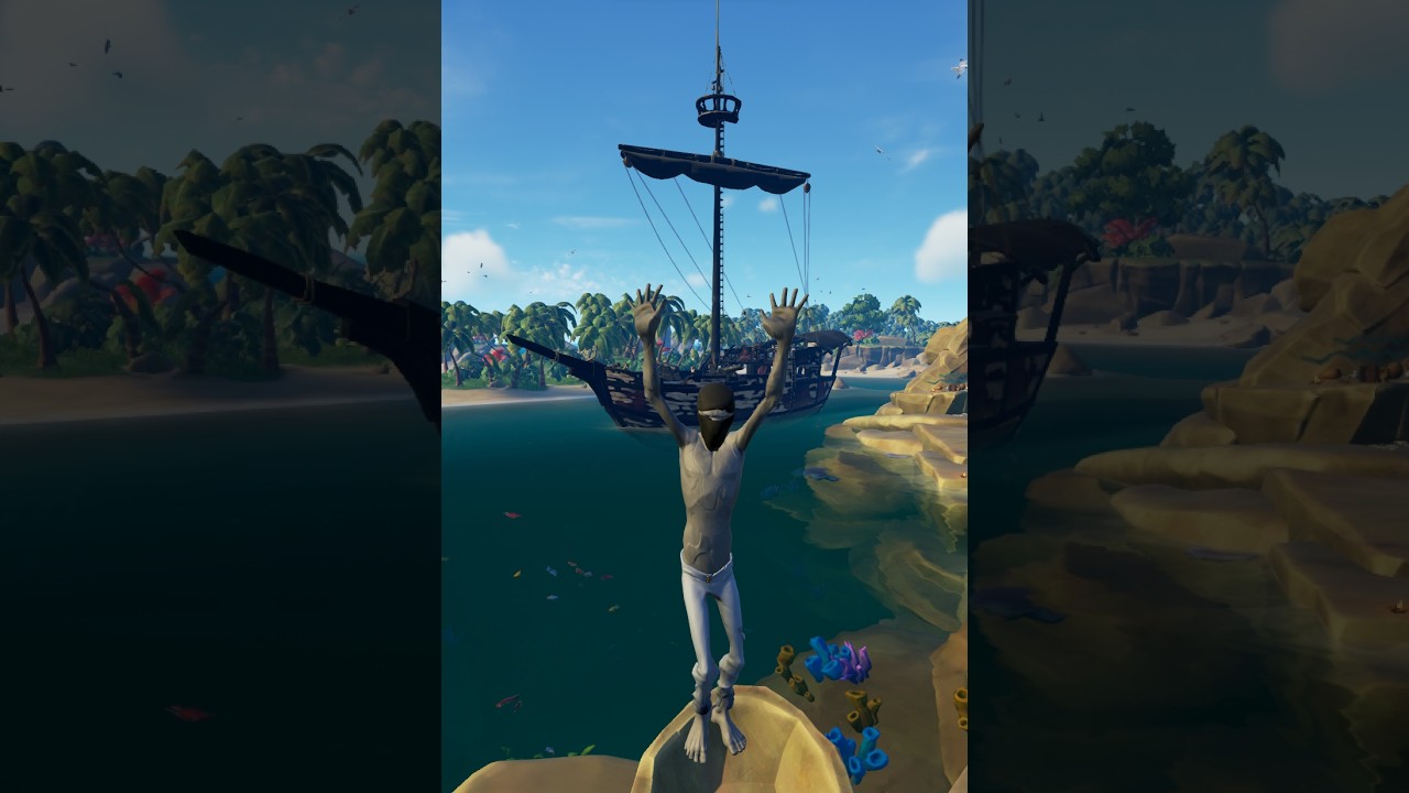 Sot Montage 3