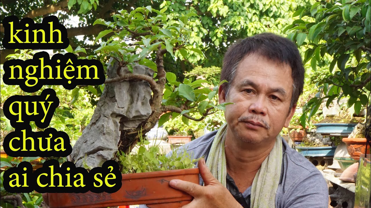 Nghệ Nhân Thắng Bonsai Chia Sẻ Kinh Kinh Nghiệm Quý Về Bám Đá Khiến Ai Xem Cũng Phải Trầm Trồ
