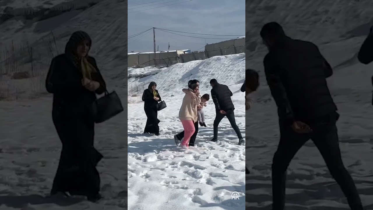 Hakkari'de sahipsiz köpeklerin saldırısına uğrayan çocuk, ağır yaralandı