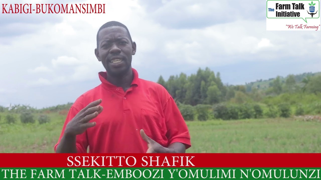 LIMA OBUTUNGULU OFUNE MUMYEEZI EBIRI