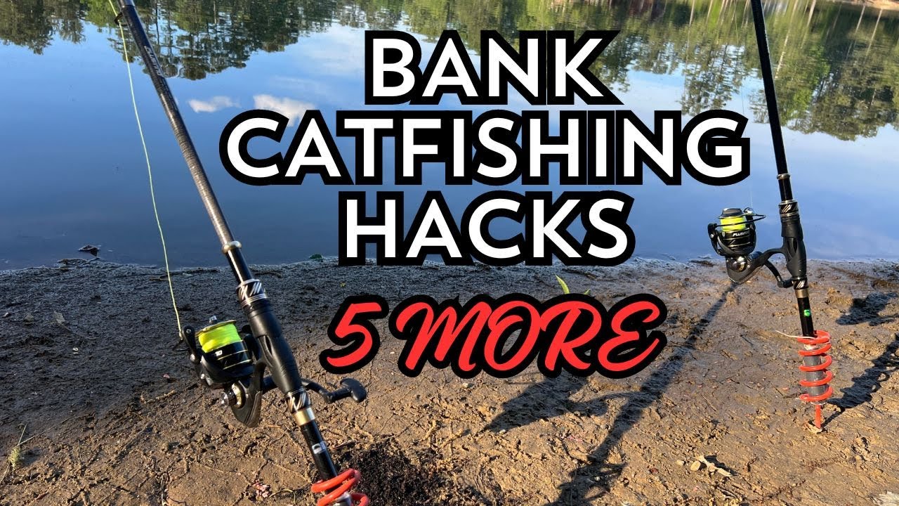 BEST 5 TIPS FOR CATFISHING FROM THE BANK